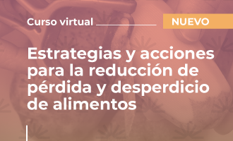 Estrategias y acciones para la reducción de pérdida y desperdicio de alimentos